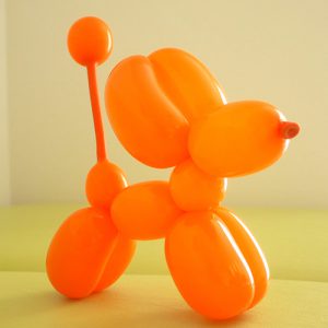 犬のじゅうたんフェスタ-2017 秋-