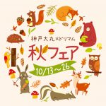 神戸大丸×ドリマム 秋フェア